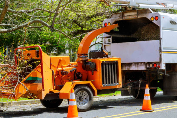  Milford, DE Tree Services Pros